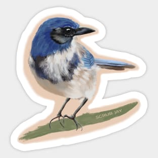 Scrub Jay Painting Sticker